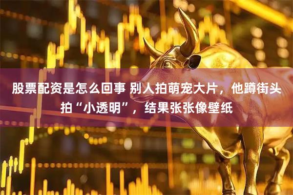 股票配资是怎么回事 别人拍萌宠大片，他蹲街头拍“小透明”，结果张张像壁纸